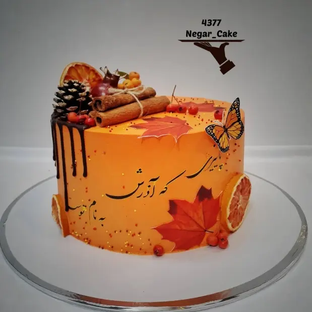 کیک تولد دختر آذر ماهی