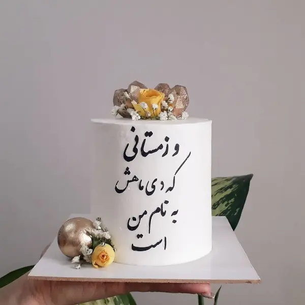 کیک تولد با نوشته و زمستانی که دی ماهش به نام من است