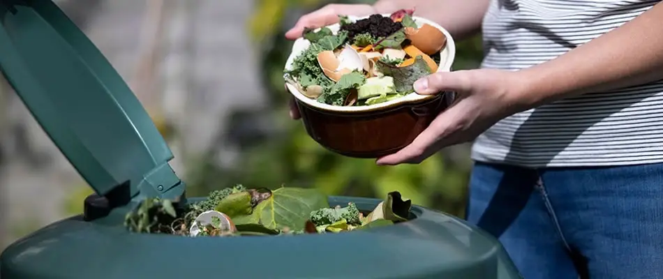 جلوگیری از هدررفتن و اسراف مواد غذایی