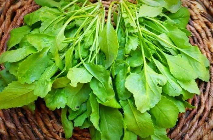 خواص سبزی خوردن برای پوست صورت