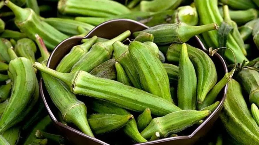 شرح مختصری درباره بامیه