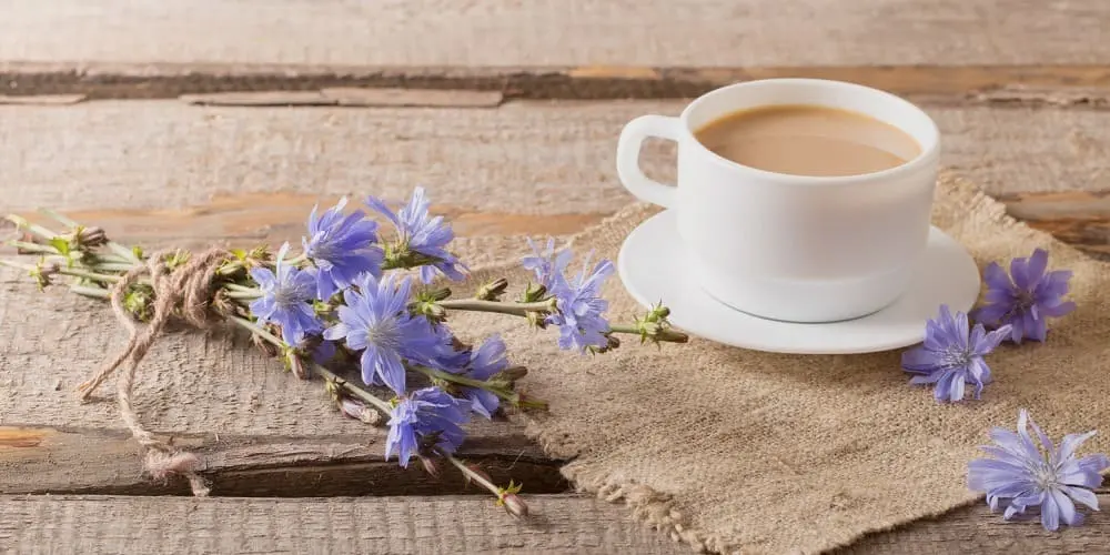 فواید عرق کاسنی برای لاغری