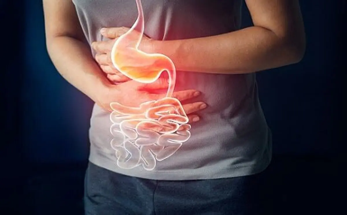 تاثیر استرس بر اجزای مختلف دستگاه گوارش