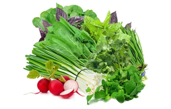 فواید سبزی خوردن همراه غذا